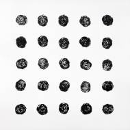 Picture of 2 DOZEN PLUS ONE IV