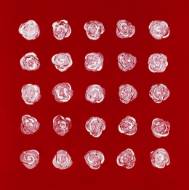 Picture of 2 DOZEN PLUS ONE III