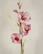 Picture of THE SMELL OF PRECIOUS II