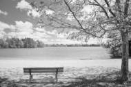 Picture of PARK PERFECTION I