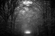 Picture of GROVES I
