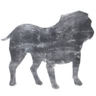 Picture of DAZZLE DOGS III