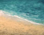 Picture of SEA COASTS