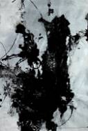 Picture of PANACEA