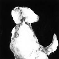 Picture of PLAYTIME III