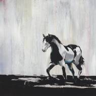 Picture of LOITER II