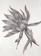 Picture of GARDEN PICKS V