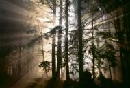 Picture of BROKEN RAYS II