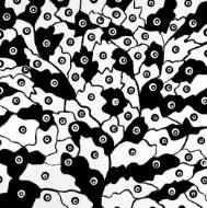 Picture of THE EYES HAVE IT