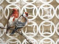 Picture of GOLDEN LOVEBIRDS