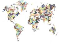 Picture of FLIGHT AROUND THE GLOBE