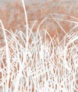 Picture of BRISTLE AND THISTLE II
