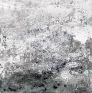 Picture of LIMITED CONDITIONS