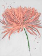 Picture of BLUSH BLOOM