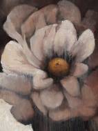 Picture of CHESTNUT REFINEMENT