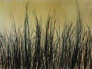 Picture of NATURES BRISTLE