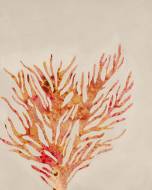 Picture of FANCY FLOATERS III