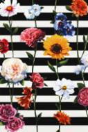 Picture of STREAKES OF FLOWERS