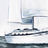 Picture of LIFE OF A CAPTAIN VIII