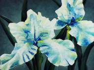 Picture of ACCENTUATE YOUR TASTE
