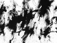 Picture of AN AGGRESSIVE CALMNESS II