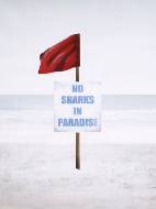 Picture of SWIM ANY TIME YOU WISH