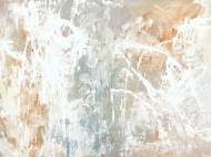 Picture of TOSSED