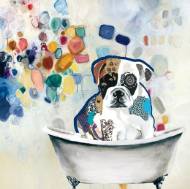 Picture of BRUTS BATH TIME