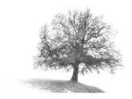 Picture of PAUSE AND PLAY