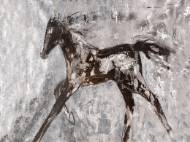 Picture of BORN WINNER