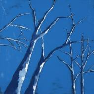 Picture of PERMAFROST