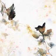 Picture of FADED BEAUTY II