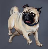 Picture of PARTY PUG