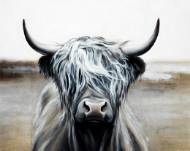 Picture of HIGHLAND BEAUTY