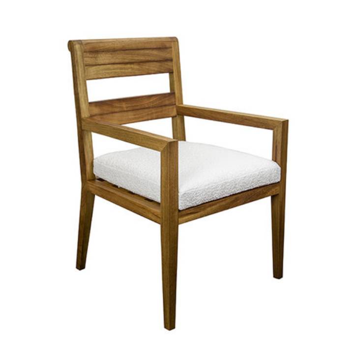 Picture of COPY OF BONDI DINING ARM CHAIR