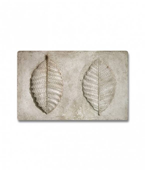 Picture of BOTANICAL - ACACIA LEAF