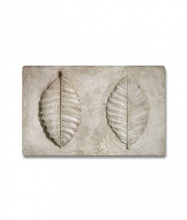 Picture of BOTANICAL - ACACIA LEAF