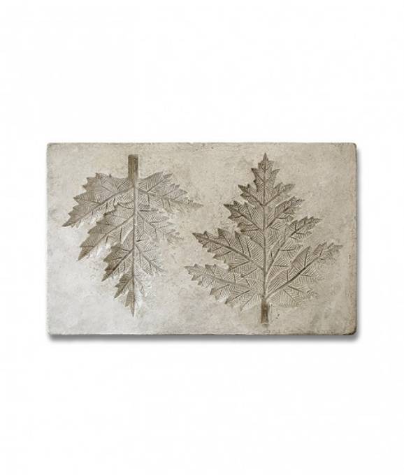 Picture of BOTANICAL - ACANTHUS LEAF