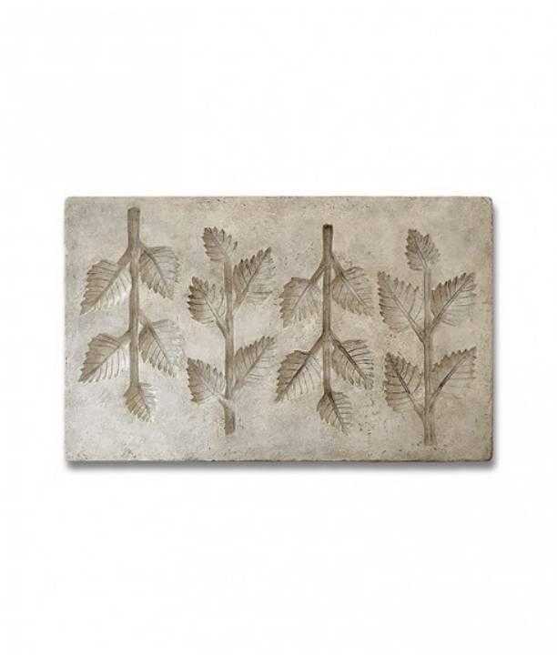 Picture of BOTANICAL - ASH LEAF