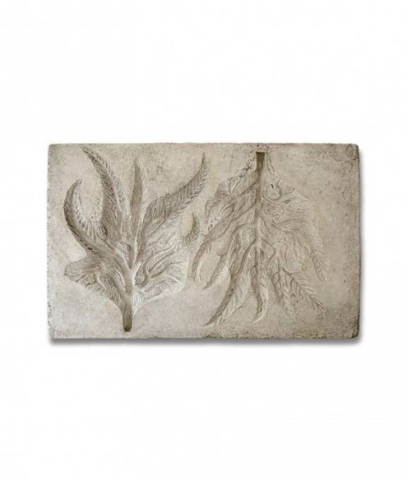 Picture of BOTANICAL - GUNNERA LEAF