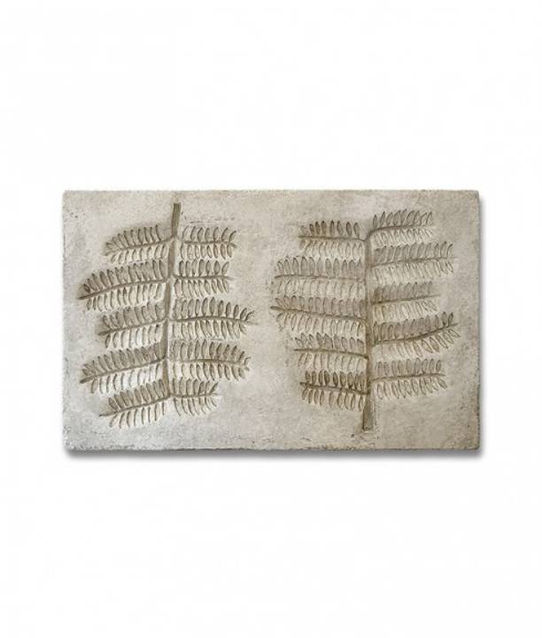 Picture of BOTANICAL - MIMOSA LEAF