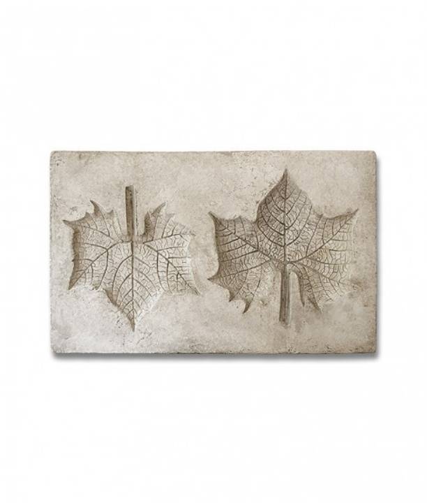 Picture of BOTANICAL - SYCAMORE LEAF