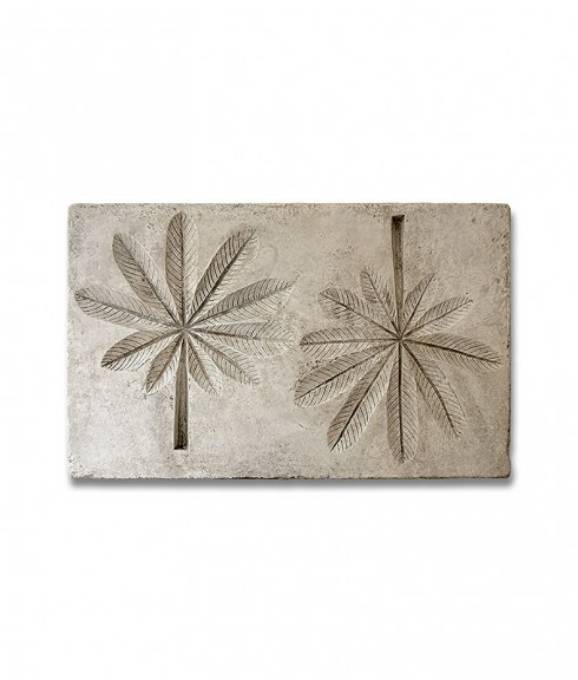 Picture of BOTANICAL - UMBRELLA LEAF