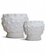 Picture of NEELY FOOTED BOWL