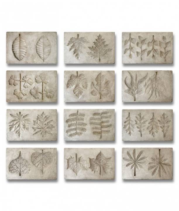 Picture of BOTANICALS - SET OF TWELVE LEAVES