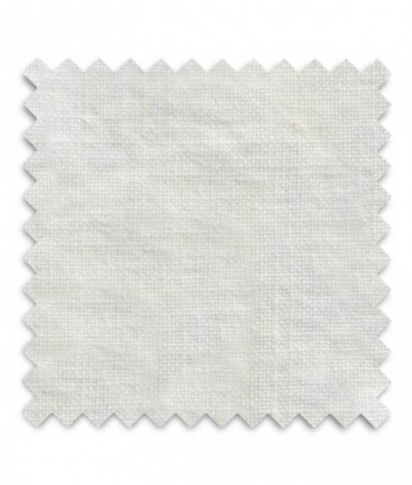 Picture of GASTON - OYSTER