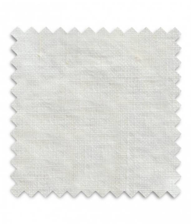 Picture of GASTON - OYSTER