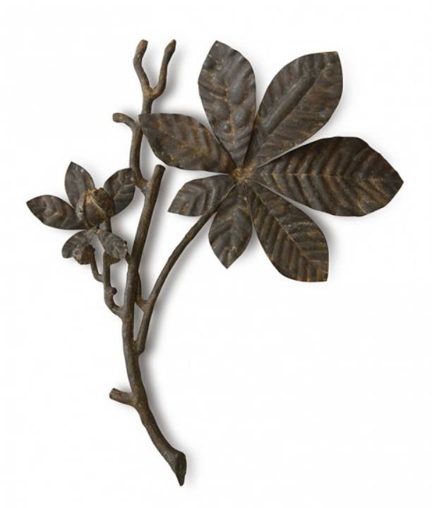 Picture of QUERCERCUS BRANCH