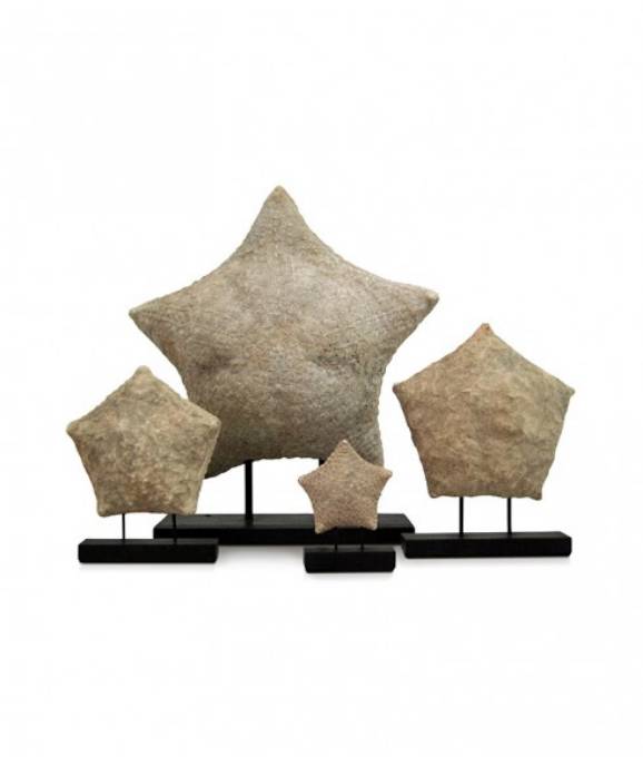 Picture of SEA STARS SET