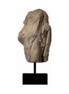 Picture of DRAPED FEMALE TORSO